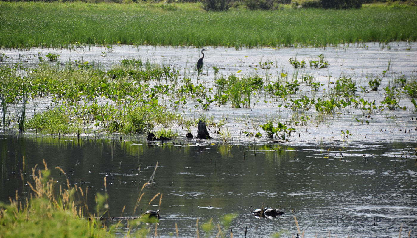 03a Squaw Creek NWF Wetlands Erosion Control