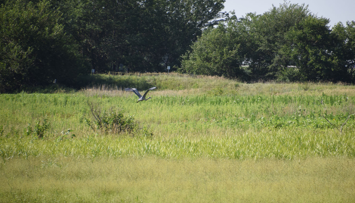 05a Squaw Creek NWF Wetlands Erosion Control
