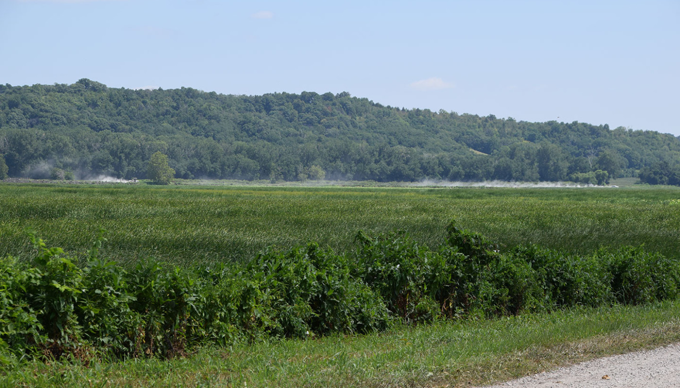 11a Squaw Creek NWF Wetlands Erosion Control