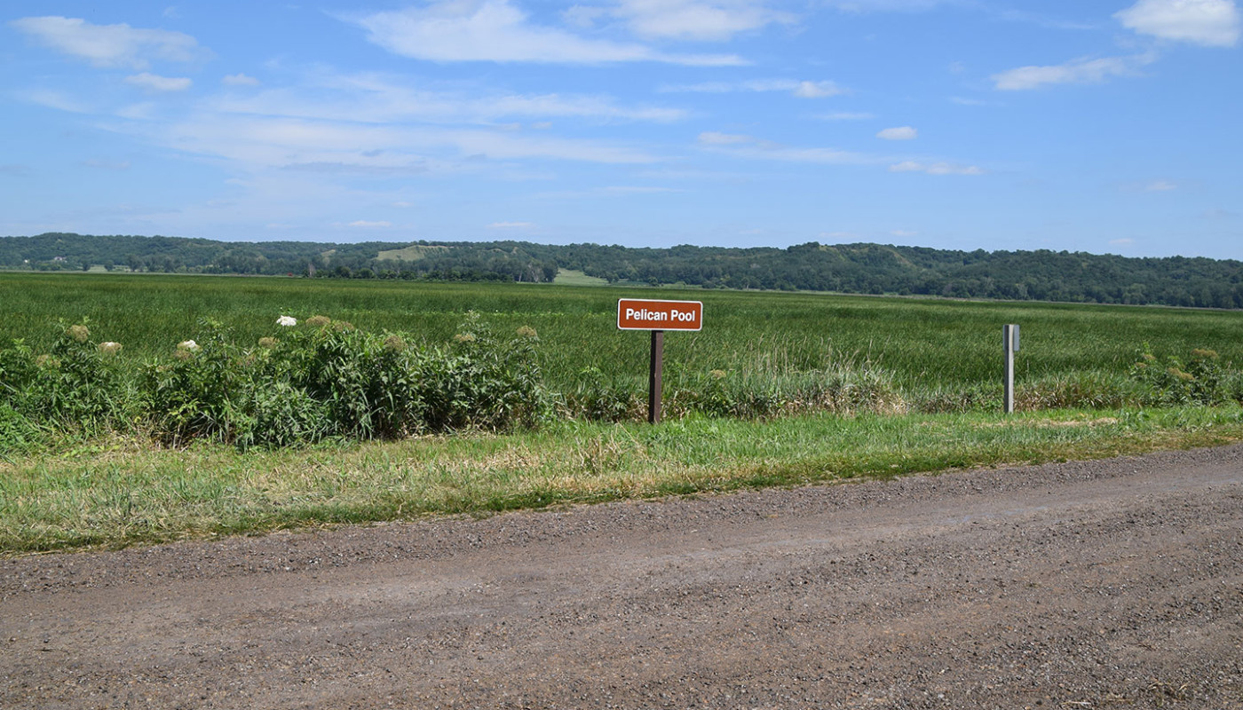 27a Squaw Creek NWF Wetlands Erosion Control