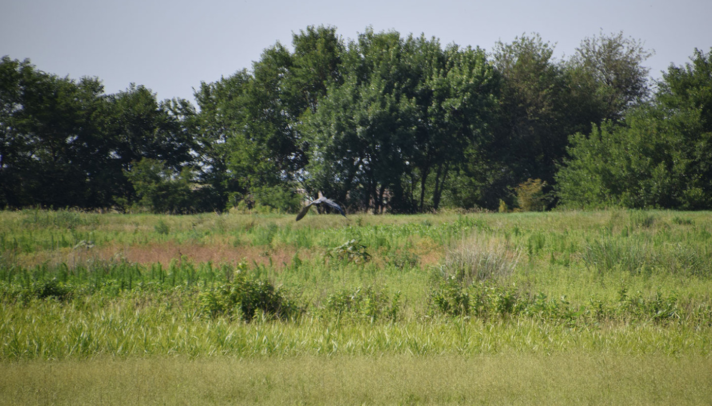 32a Squaw Creek NWF Wetlands Erosion Control