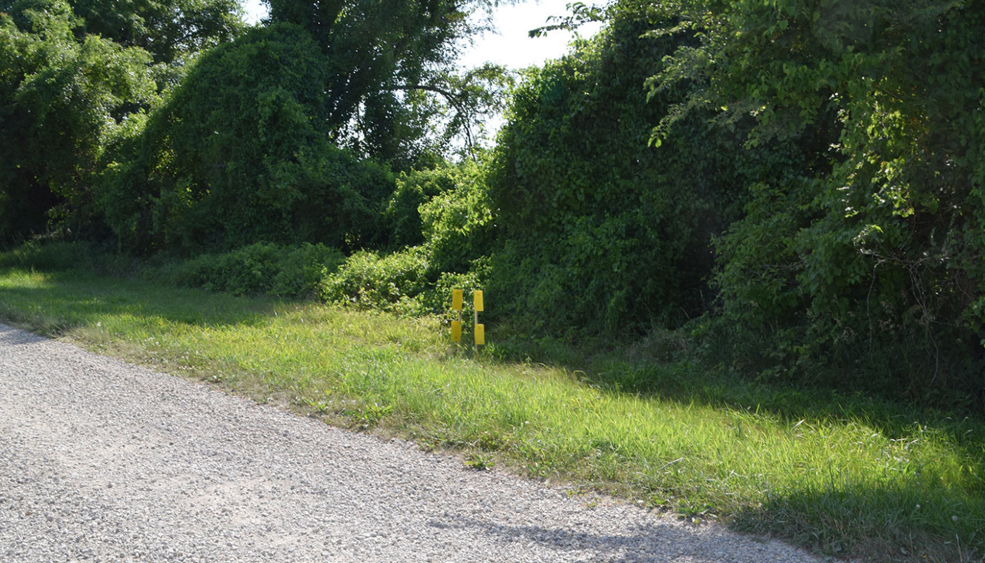 33a Squaw Creek NWF Wetlands Erosion Control