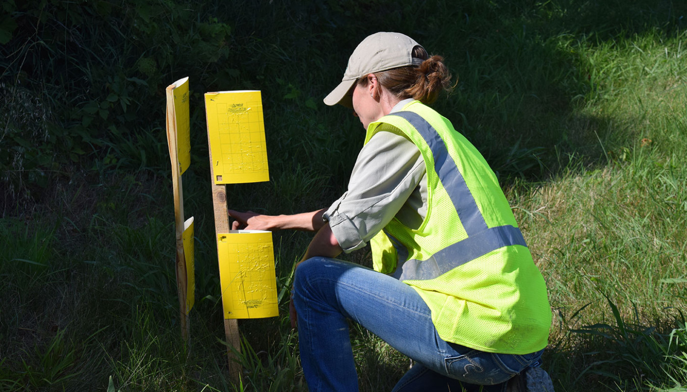 36a Squaw Creek NWF Wetlands Erosion Control